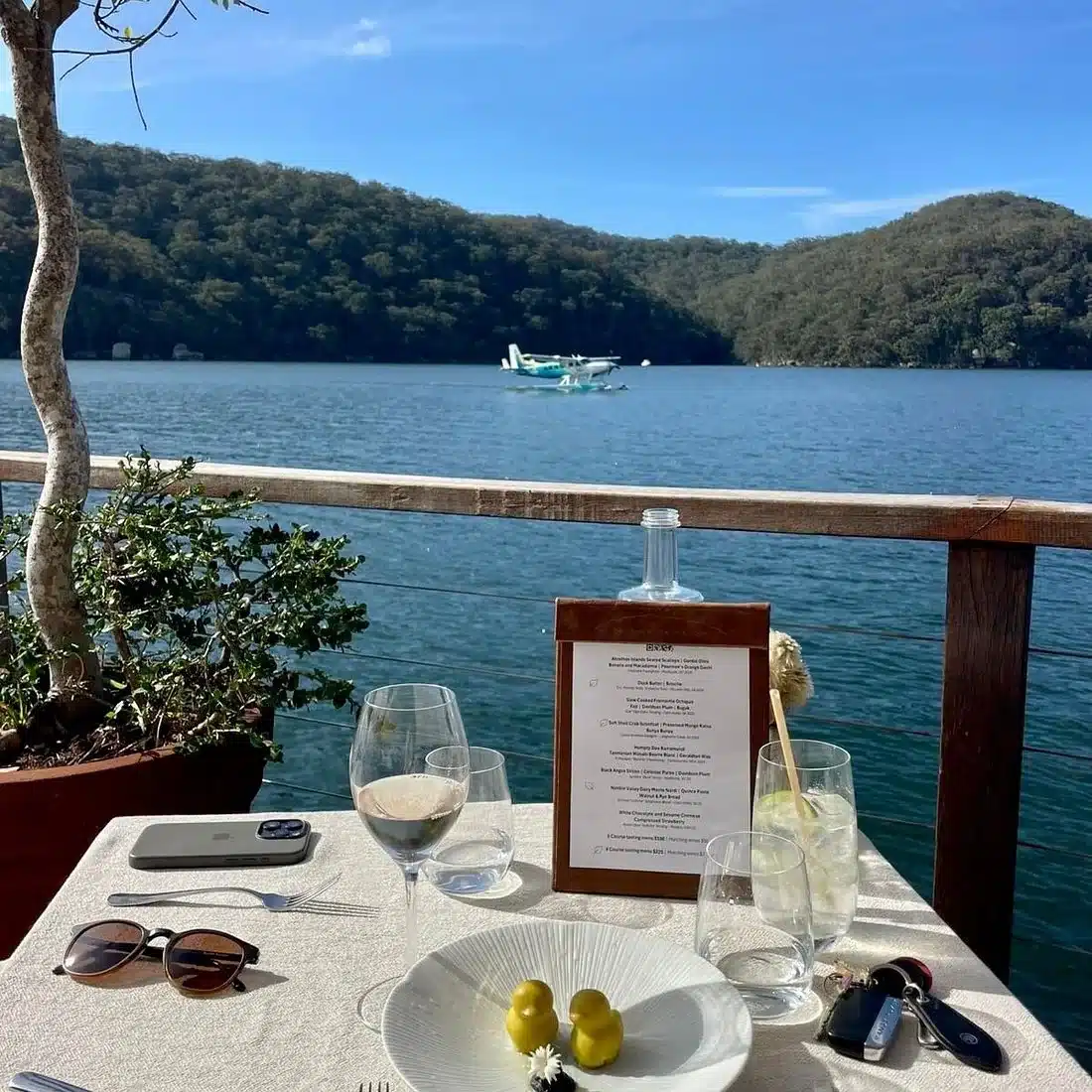 A waterside dining table overlooking a wooded bay with a seaplane on the water