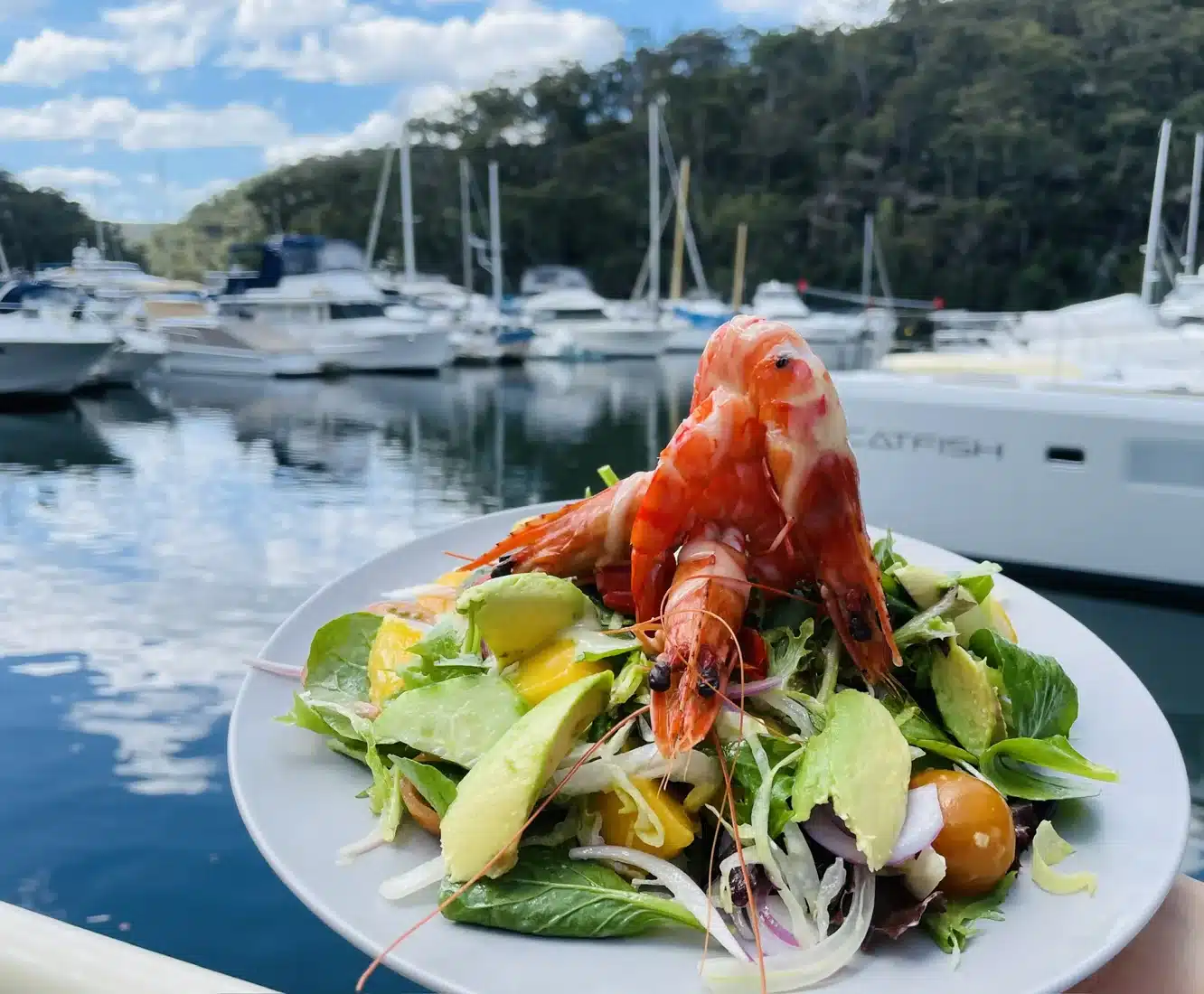 Prawn and avocado salad with marina boats beyond