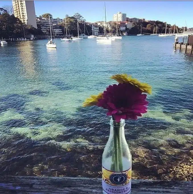 The view from Thelma & Louise, Neutral Bay.