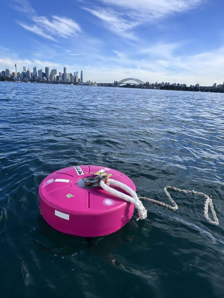 Pink public courtesy swing mooring on Sydney Harbour with the Harbour Bridge and city skyline behind it